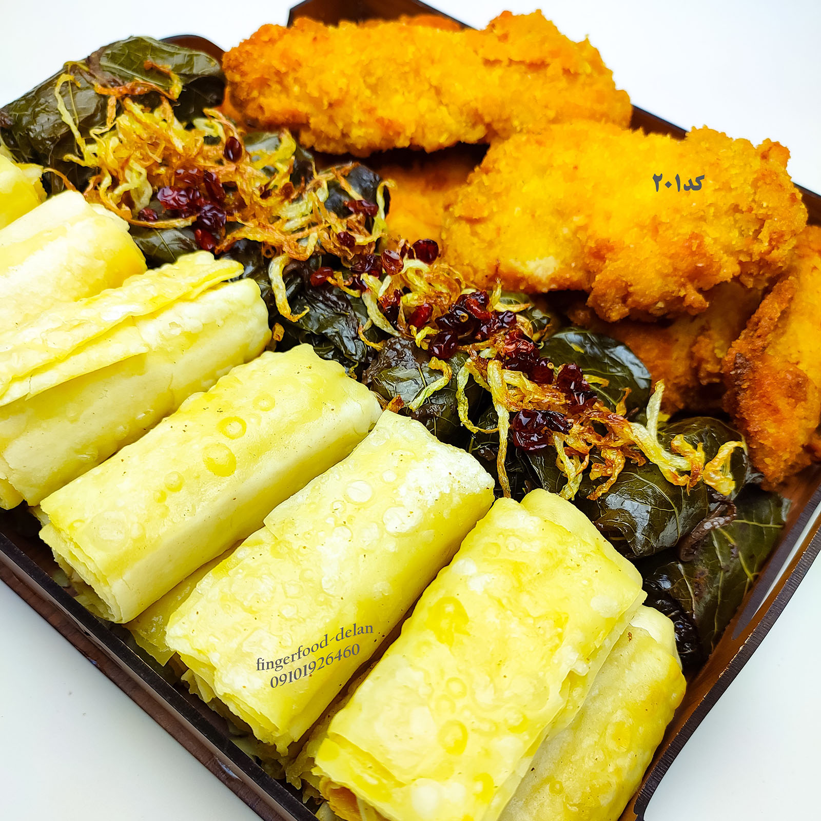 سینی کدA201